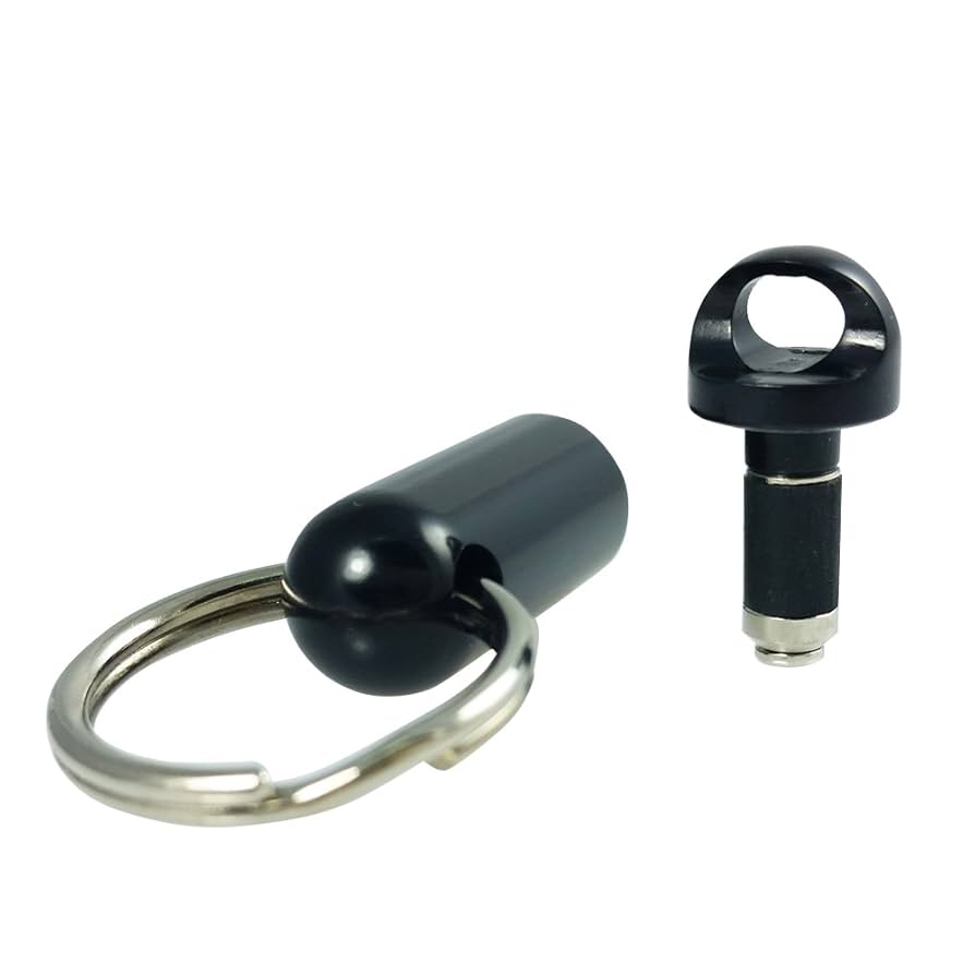 Amazon | 【日本正規代理店品】 オウルテック PLUGGY LOCK